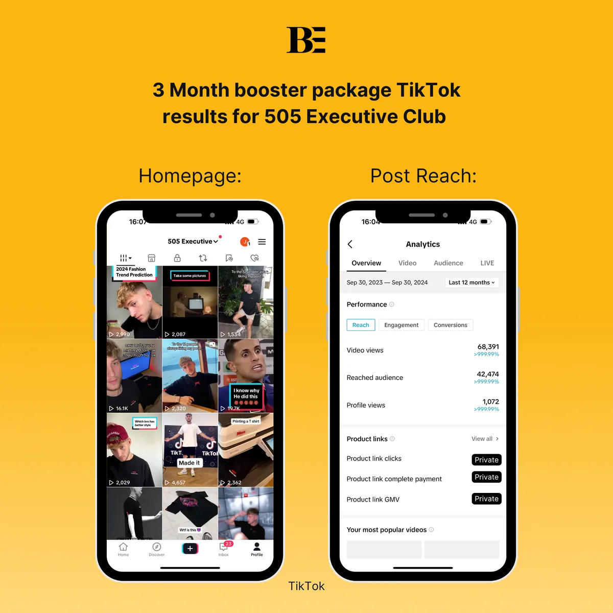 TikTok report: 68,391 video views